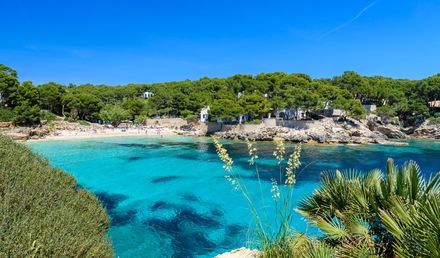 Kleine Badebucht Cala Ratjada auf Mallorca mit klarem türkisfarbenem Wasser, Felsen und grünen Pinien rund um den Strand