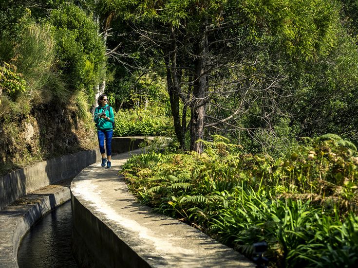 Person wandert entlang einer Levada durch üppige Vegetation und Waldlandschaft auf Madeira