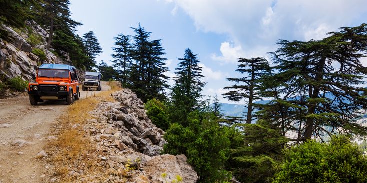 Zwei Geländewagen bei einer Jeep-Safari auf einer Schotterstraße durch bergige Waldlandschaft