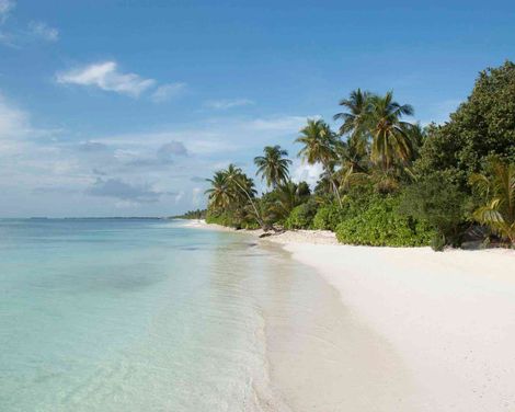 Canareef Resort Maldives