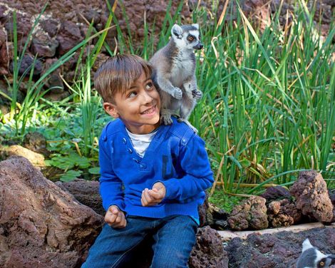 IFA Altamarena by Lopesan Hotels