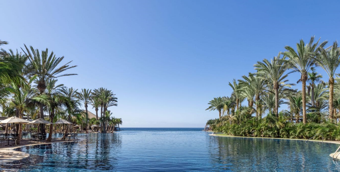 Blick auf einen Infinity-Pool mit Palmen auf beiden Seiten und Meer im Hintergrund unter klarem Himmel.