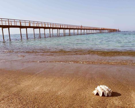Lazuli Hotel Marsa Alam