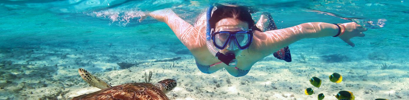 Eine Person schnorchelt im Wasser und schwimmt über den Sandboden. Neben ihr schwimmt eine Meeresschildkröte und bunte Fische sind sichtbar.