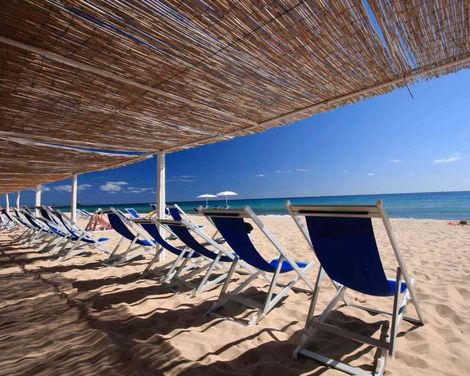 Hotel Flamingo Resort