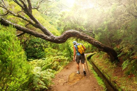 Person mit Rucksack wandert auf einem Levada-Weg durch einen grünen Wald auf Madeira unter einem gebogenen Baum entlang eines Wasserkanals