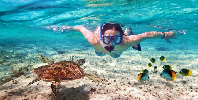 Frau mit Schnorchel und Taucherbrille schwimmt unter Wasser zwischen einer Meeresschildkröte und bunten tropischen Fischen