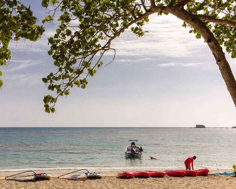 Playabachata Lifestyle Collection by Senator