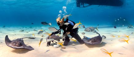 Taucher ist umgeben von Rochen und bunten Rifffischen in einer klaren Unterwasserlandschaft unter einem Boot