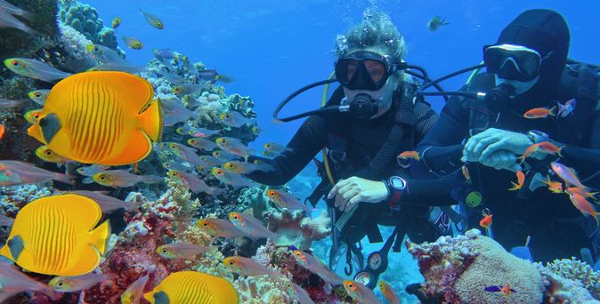 Zwei Taucher mit Ausrüstung beobachten ein Korallenriff, umgeben von vielen bunten Fischen, darunter auffällige gelbe Falterfische