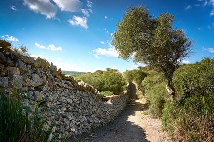 Der Cami de Cavalls auf Menorca führt als historischer Reit- und Wanderweg entlang einer Trockensteinmauer durch mediterrane Landschaft
