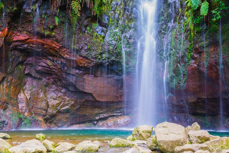 Wasserfall Levada do Risco auf Madeira, der vor einer bewachsenen Felswand in ein natürliches Becken mit Steinen im Vordergrund fällt