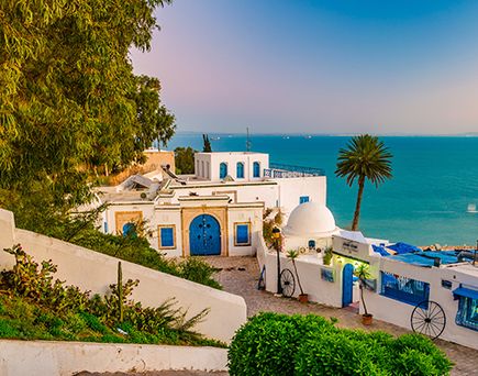 Traditionelle weiße Gebäude mit blauen Türen und Fenstern in einem tunesischen Küstendorf mit Palmen und Meerblick