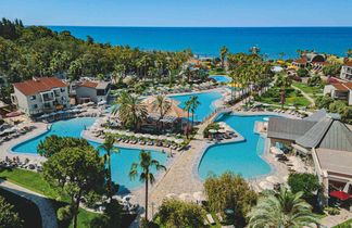 Arum Barut Collection