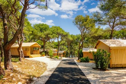 Moderne Holz-Ferienhäuser, eingebettet in einen Pinienwald mit Spazierweg