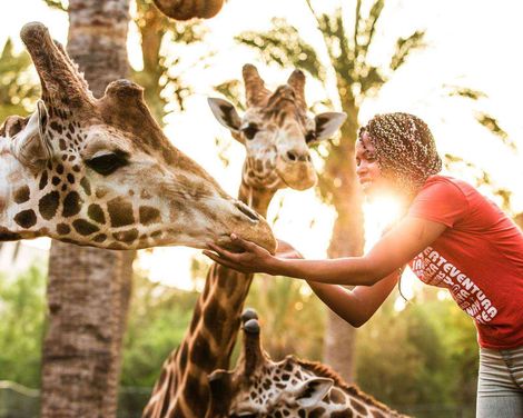 Oasis Wildlife Fuerteventura R2 Pajara Beach