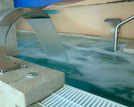 Fergus Cactus Garden