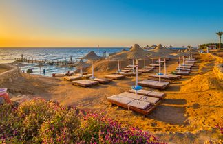Strand in Marsa Alam bei Sonnenuntergang mit Holzstegen, Sonnenliegen, strohgedeckten Sonnenschirmen und blühenden Pflanzen in warmem goldenen Licht