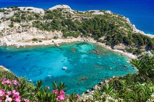 Bucht mit klarem türkisfarbenem Wasser, umgeben von felsigen Klippen und grüner Vegetation, im Vordergrund blühende rosa Blumen