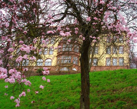 ACHAT Hotel Franziskushöhe