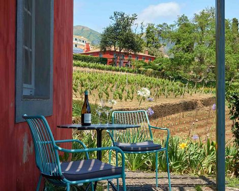 Quinta das Vinhas