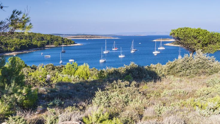 Blick auf Kap Kamenjak in Istrien, Kroatien, mit ruhiger Bucht, Segelbooten vor Anker, mediterraner Küstenlandschaft und Pinien entlang der Adriaküste