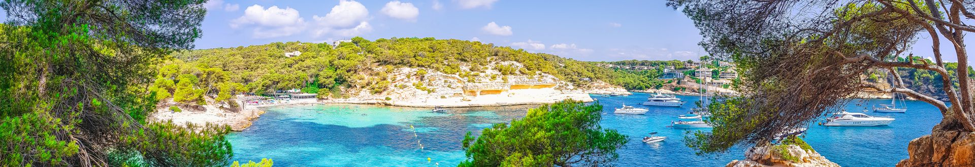 Blick auf eine Bucht auf Mallorca mit türkisblauem Wasser, umgeben von Pinien und Felsen, mehreren Booten und Yachten im Meer sowie grüner Hügellandschaft im Hintergrund