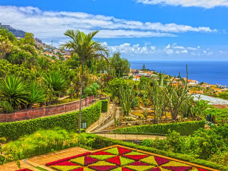 Terrassenförmig angelegter Botanischer Garten Monte auf Madeira mit Palmen, Kakteen, bunten Blumenbeeten und Blick auf den Atlantik sowie die Küste der Insel