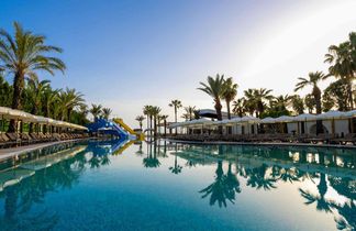 Calido Sol Hotel