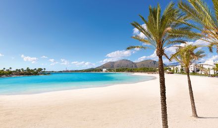 Breiter Sandstrand von Alcúdia auf Mallorca mit Palmen im Vordergrund, türkisblauem Meer und Bergen im Hintergrund unter blauem Himmel