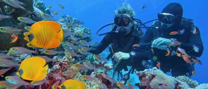 Zwei Taucher mit Ausrüstung beobachten ein Korallenriff, umgeben von vielen bunten Fischen, darunter auffällige gelbe Falterfische