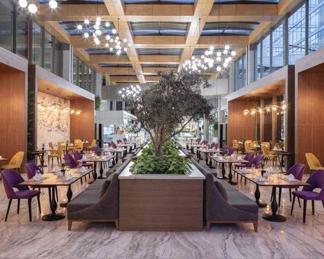 Nirvana Cosmopolitan