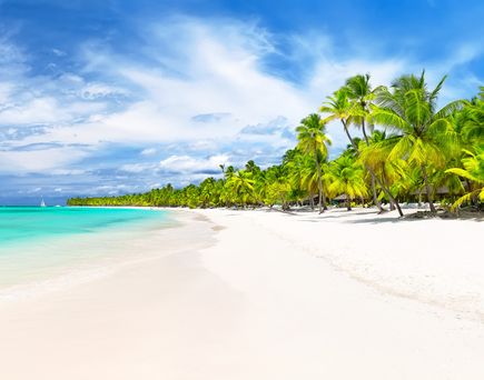 Ein Strand in der Dominikanischen Republik mit klarem, türkisfarbenem Wasser, feinem Sand und Palmen auf der rechten Seite.