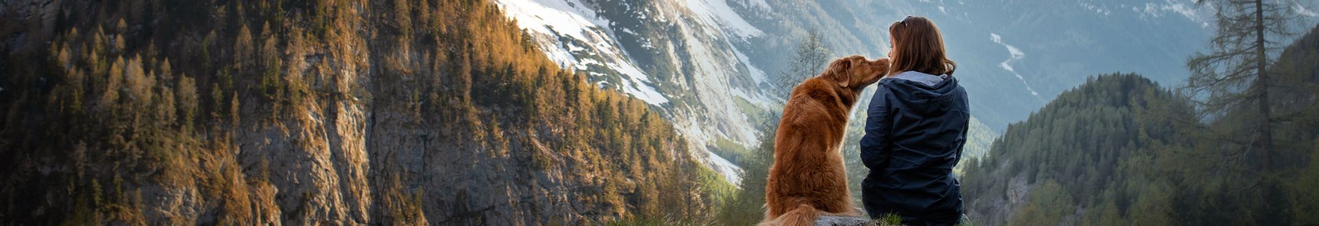Person sitzt gemeinsam mit einem Hund auf einem Felsen in alpiner Berglandschaft, umgeben von bewaldeten Berghängen und schneebedeckten Gipfeln im Hintergrund.
