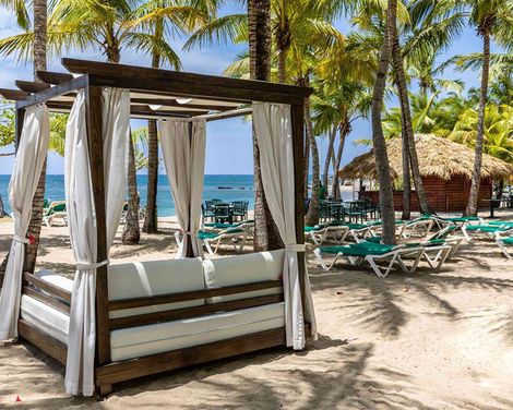 Playabachata Lifestyle Collection by Senator