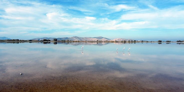 Spiegelglatte Wasseroberfläche eines Salzsees mit mehreren Flamingos und Bergen im Hintergrund