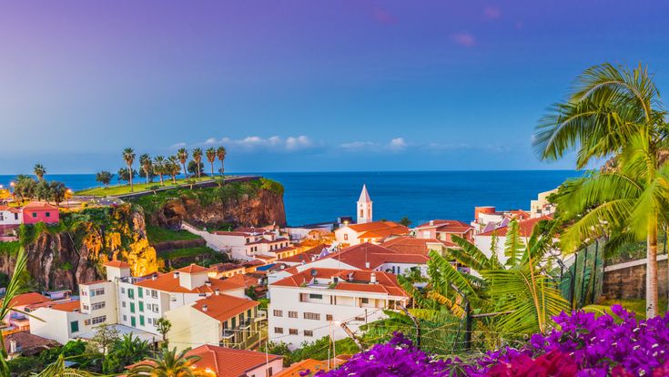 Blick auf den Küstenort Câmara de Lobos auf Madeira mit rot gedeckten Häusern, Steilküste, Kirchturm, Palmen und dem Atlantik im Hintergrund