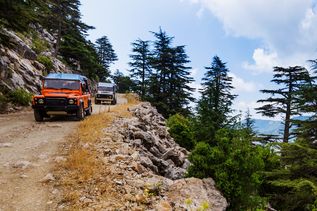 Zwei Geländewagen bei einer Jeep-Safari auf einer Schotterstraße durch bergige Waldlandschaft