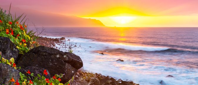 Sonnenuntergang an der Nordküste Madeiras mit felsiger Atlantikküste, blühenden Pflanzen im Vordergrund und Wellen vor einer silhouettenhaften Berglandschaft