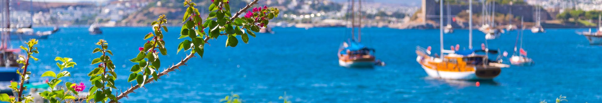 Panoramablick auf Bodrum mit Bougainvillea im Vordergrund, Segelbooten auf türkisblauem Wasser und der Burg im Hintergrund