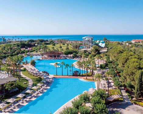 Lara Barut Collection