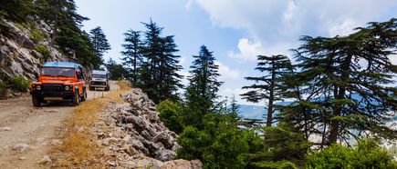 Zwei Geländewagen bei einer Jeep-Safari auf einer Schotterstraße durch bergige Waldlandschaft