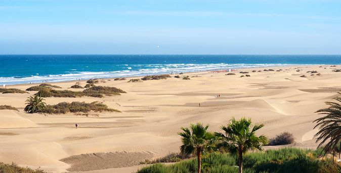 Weite Sanddünenlandschaft mit vereinzelten Palmen und blauem Meer im Hintergrund auf Gran Canaria
