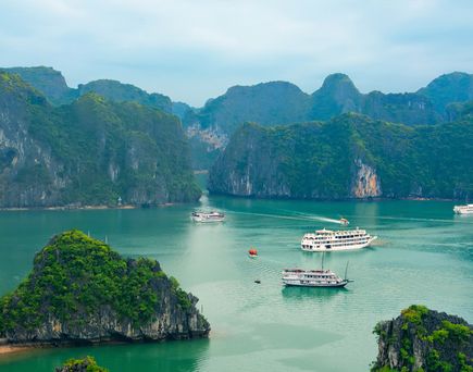 Blick auf eine Bucht in Vietnam mit mehreren Booten auf grünem Wasser und bewaldeten Kalksteininseln