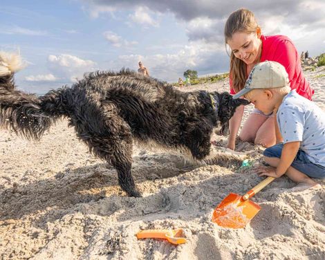 Ostsee Resort Damp - Ostseehotel Midgard