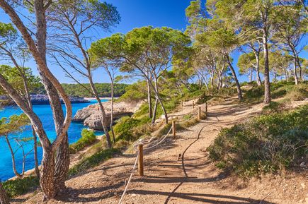 Malerischer Wanderweg durch Pinienbäume entlang der Küste von Cala Mondragó auf Mallorca mit Blick auf das türkisfarbene Meer