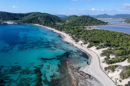 Naturstrand Ses Salines mit langem Sandstreifen, klarem Wasser und bewaldeten Dünen