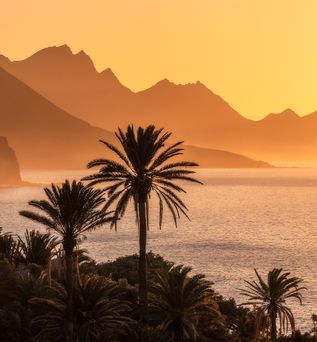 Palmen und das Meer vor Bergen, die im Sonnenuntergang beleuchtet werden