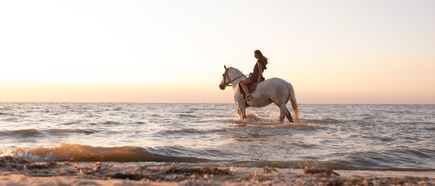 Person reitet auf einem Pferd im flachen Wasser am Strand bei Sonnenuntergang