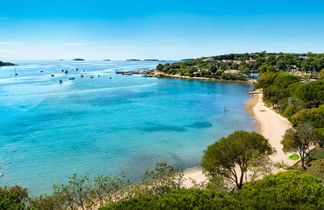 Maistra Camping Veštar